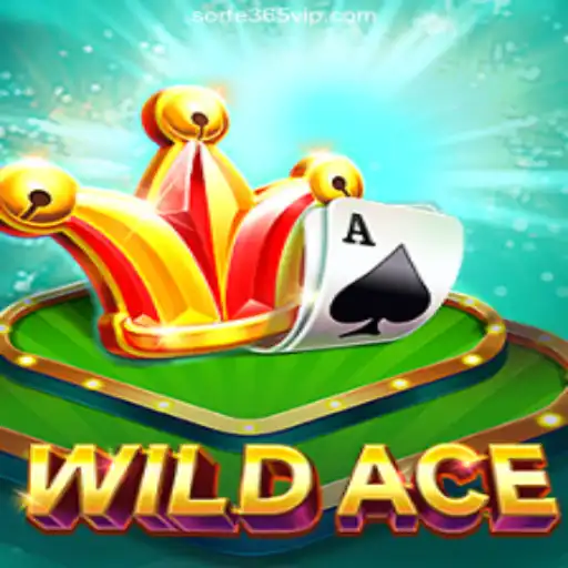 Exploring the Thrilling World of WildAce on SORTE365.games